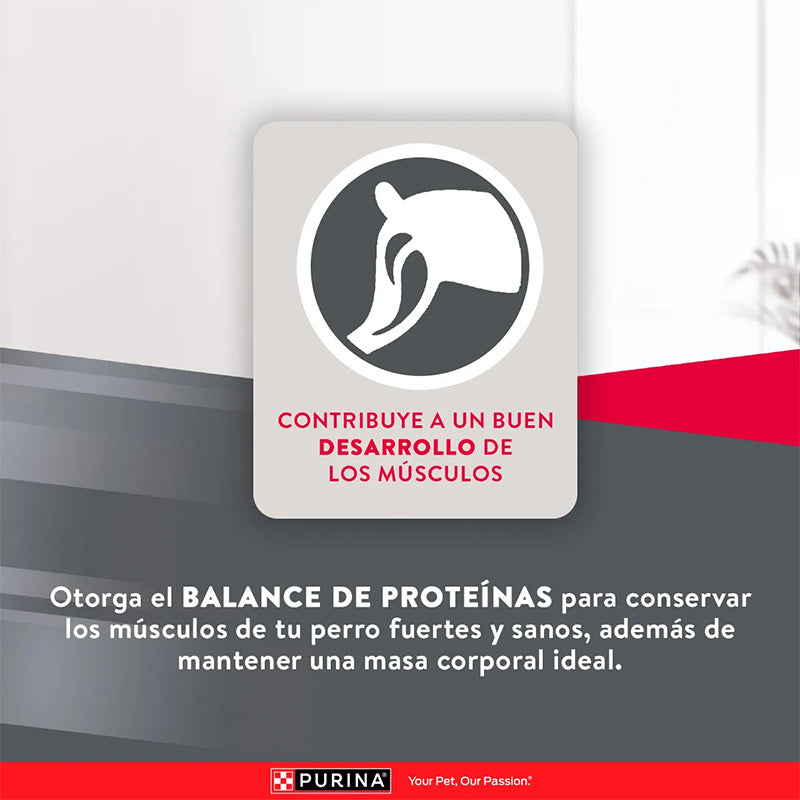 Alimento Para Perro Excellent Maintenance Adult