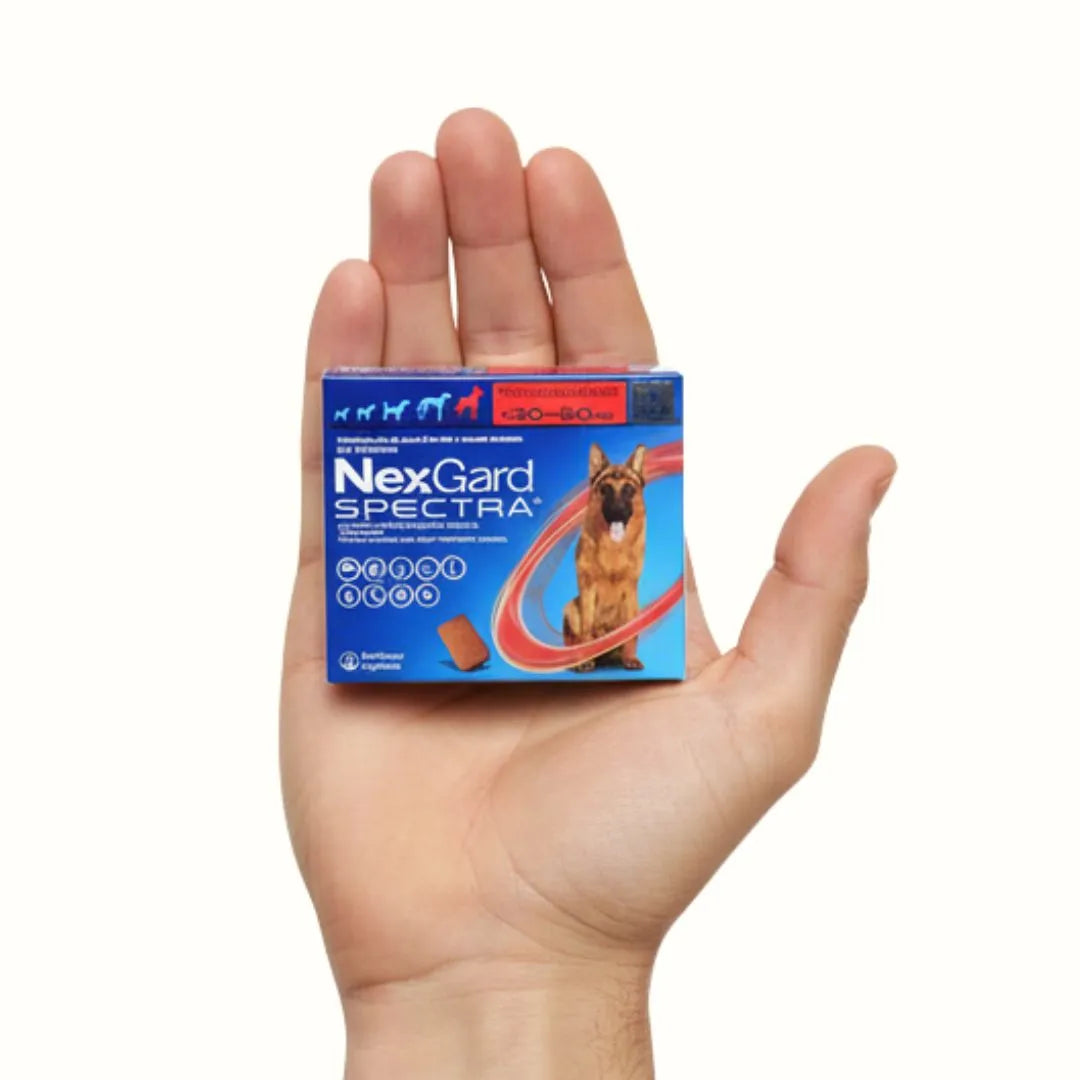 Antipulgas Nexgard Spectra para Perros XL de 30 a 60 Kg
