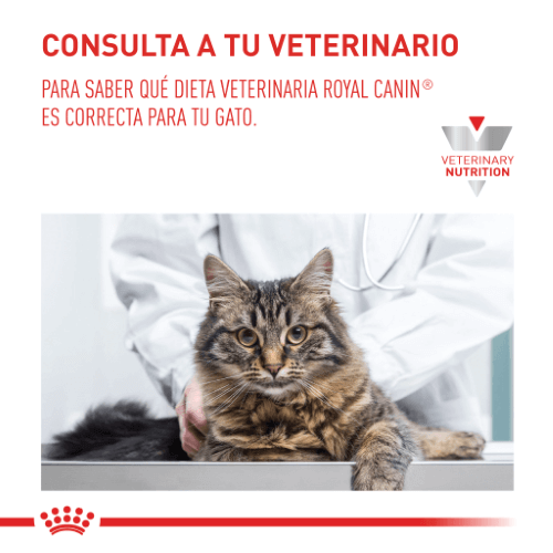 Alimento Para Gato Royal Canin Satiety Support