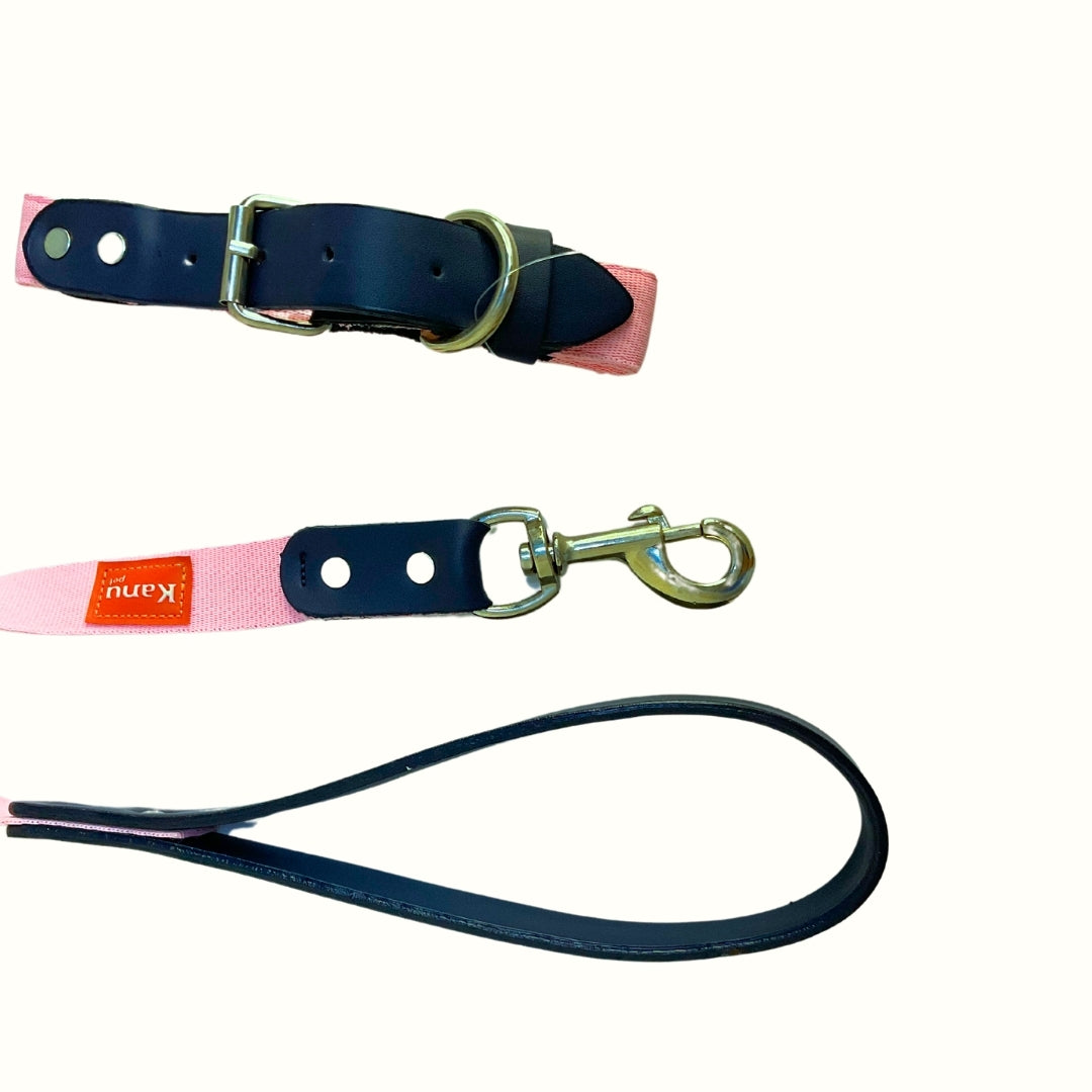 Combo Collar/Correa Vegano Rosado Kanu Pet para Perro