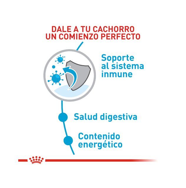 Alimento Para Perro Royal Canin Mini Puppy Precio Especial