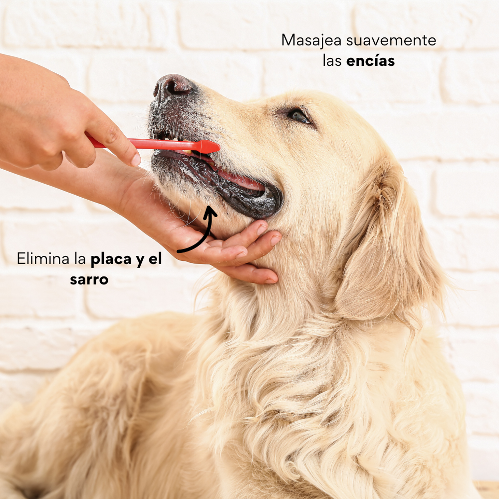 Kanu Pet Cepillo Dental Para Perros x 4 Unds