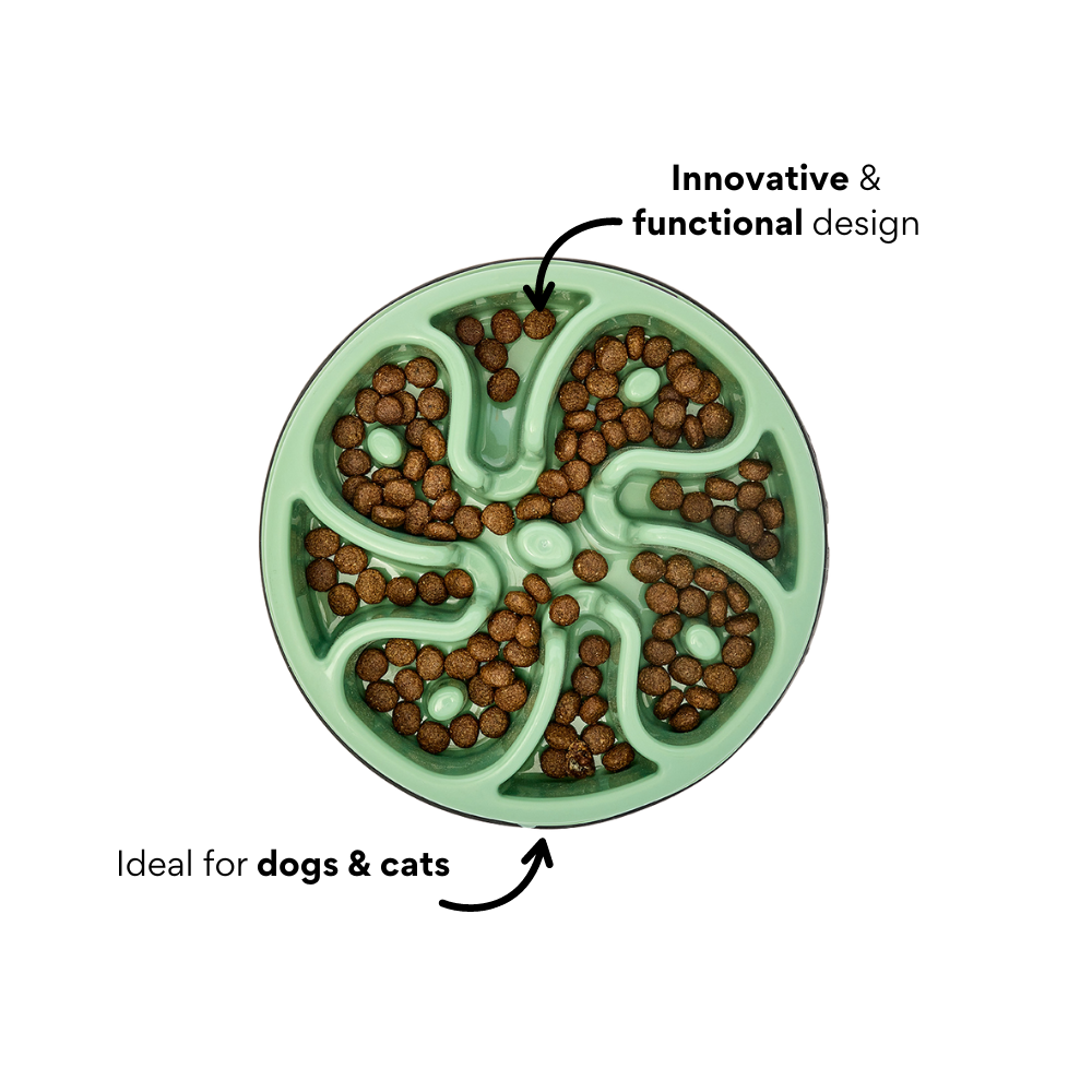 Comedero Circular Antirreflujo Kanu Pet Verde para Perro y Gato - {{ Kanu Pet }}