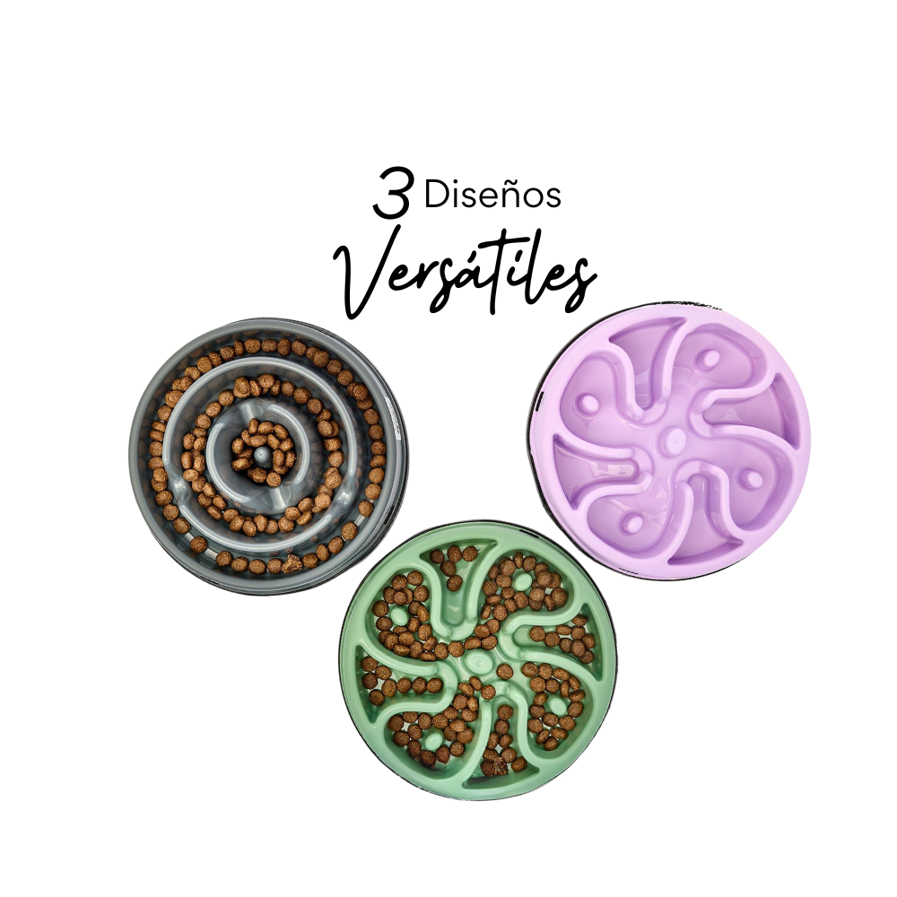 Comedero Circular Flor Antirreflujo Kanu Pet Verde para Perro y Gato