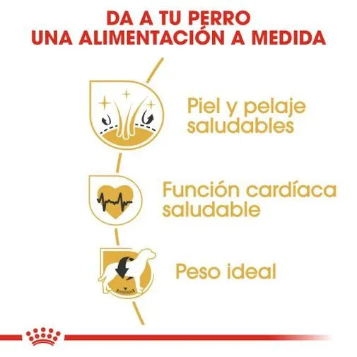 Alimento para perro Royal Canin Golden Retriever