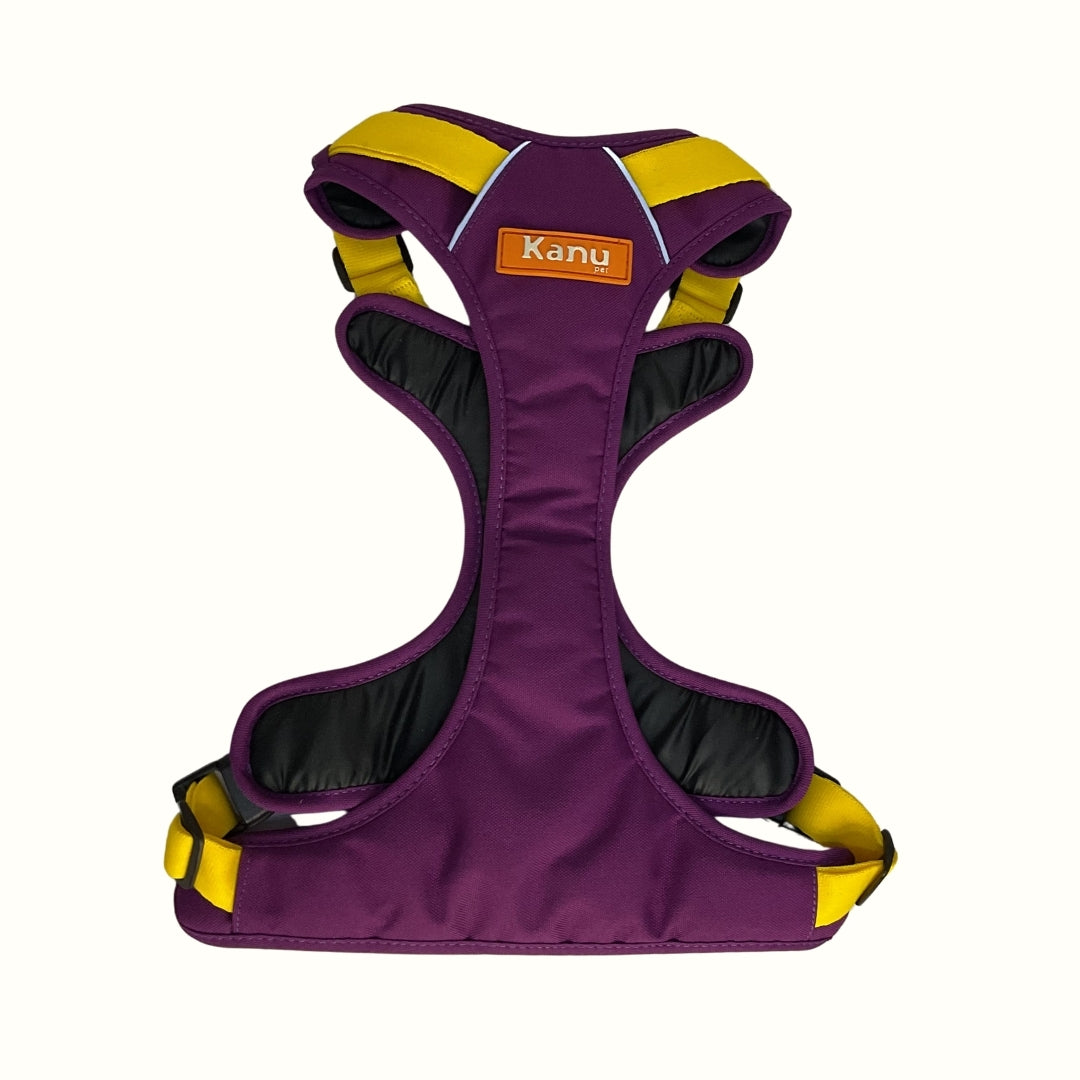 Pechera Mini Walker Barny / Amarillo Kanu Pet para Perro