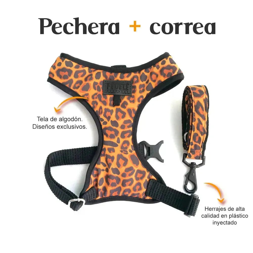 Pechera y Correa Brown Fedele Para Perro