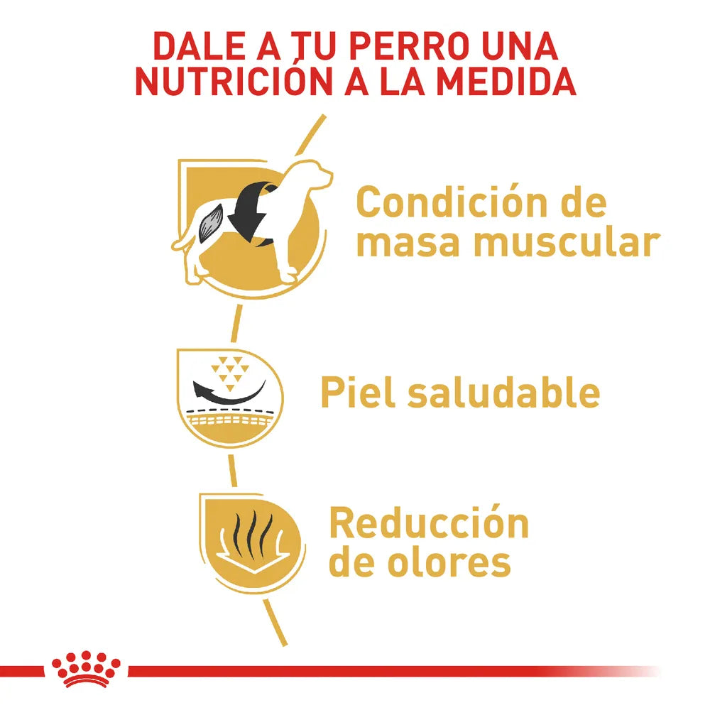 Alimento para perro Royal Canin Bulldog Frances