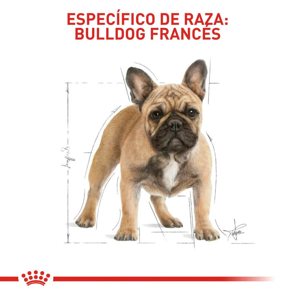 Alimento para perro Royal Canin Bulldog Frances