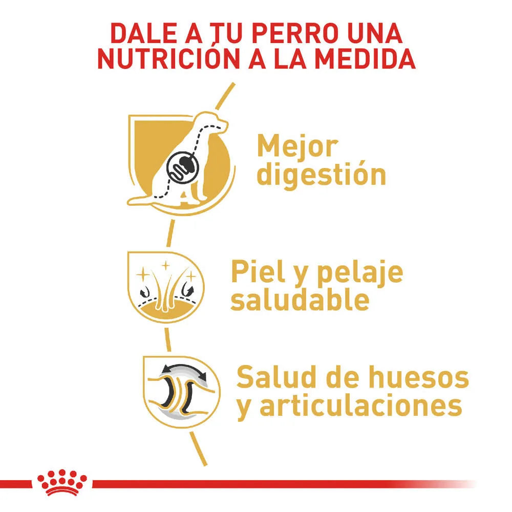 Alimento para perro Royal Canin Pastor Aleman