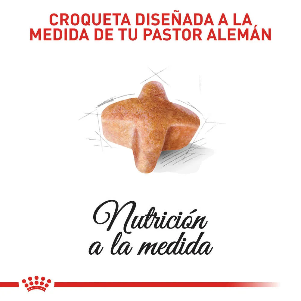Alimento para perro Royal Canin Pastor Aleman