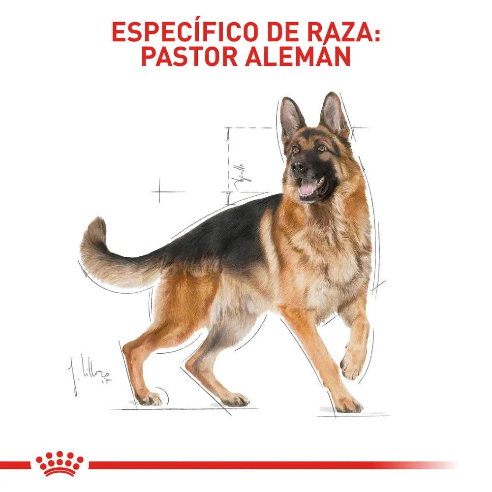 Alimento para perro Royal Canin Pastor Aleman