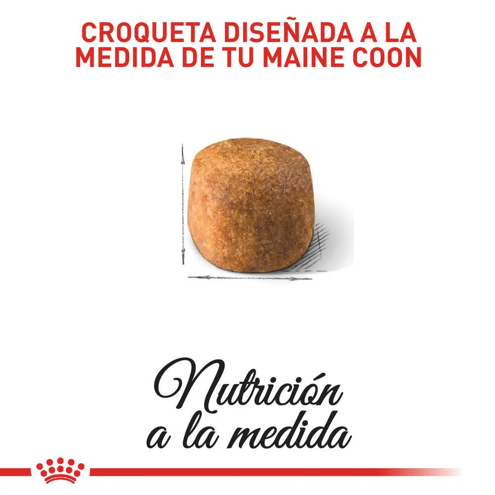 Alimento para gato Royal Canin Maine Coon Adulto