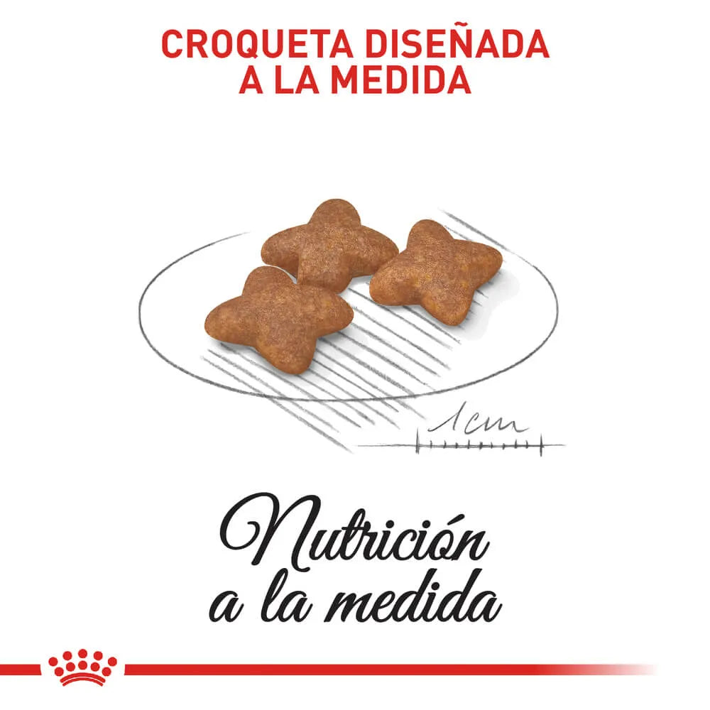 Alimento para perro Royal Canin Mini Adulto