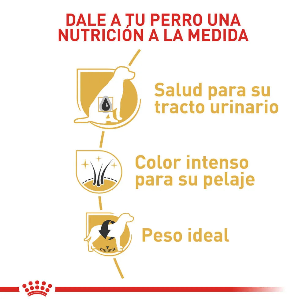 Alimento para perro Royal Canin Miniature Schnawzer