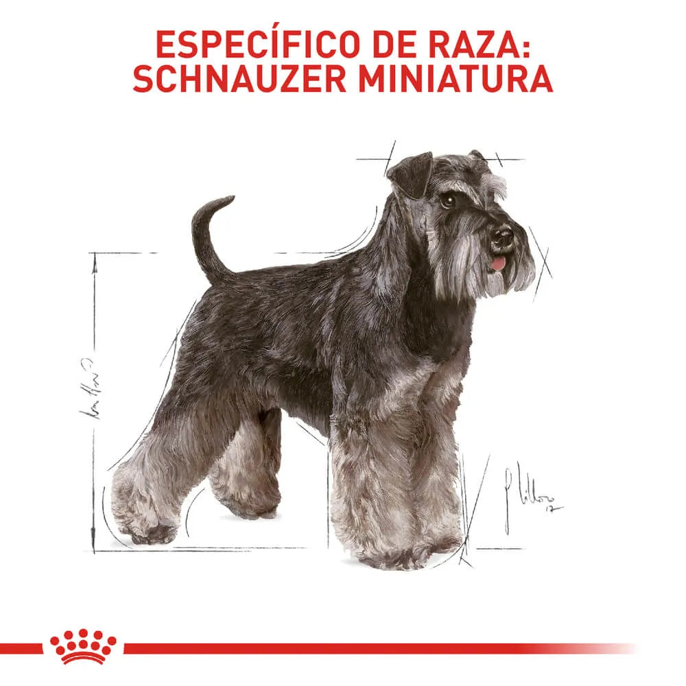 Alimento para perro Royal Canin Miniature Schnawzer