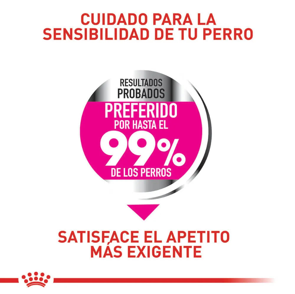 Alimento Para Perro Royal Canin Mini Exigent