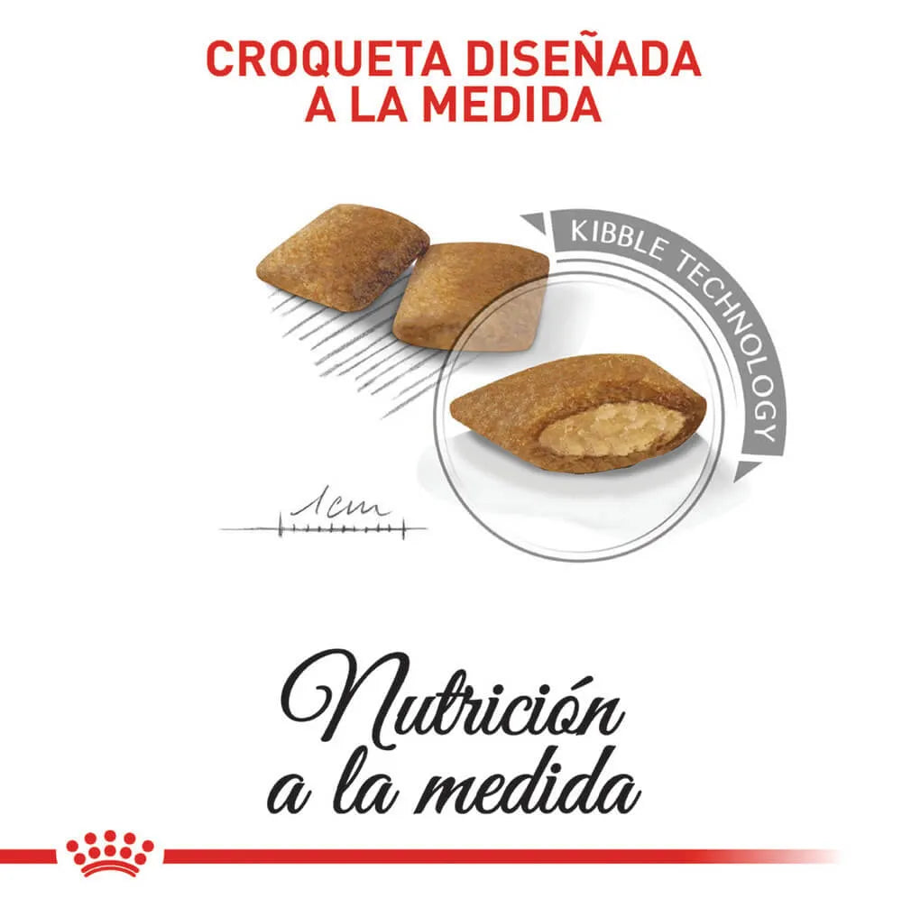 Alimento Para Perro Royal Canin Mini Exigent