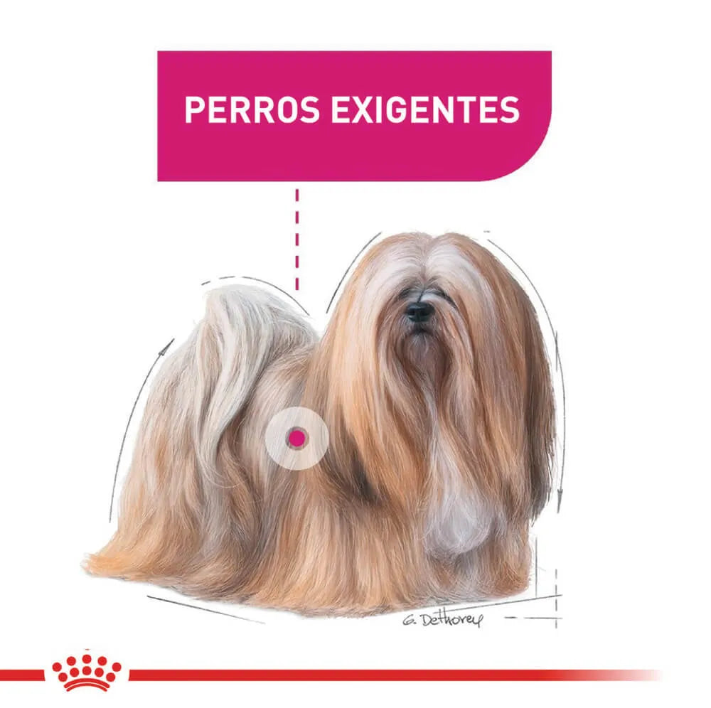 Alimento Para Perro Royal Canin Mini Exigent