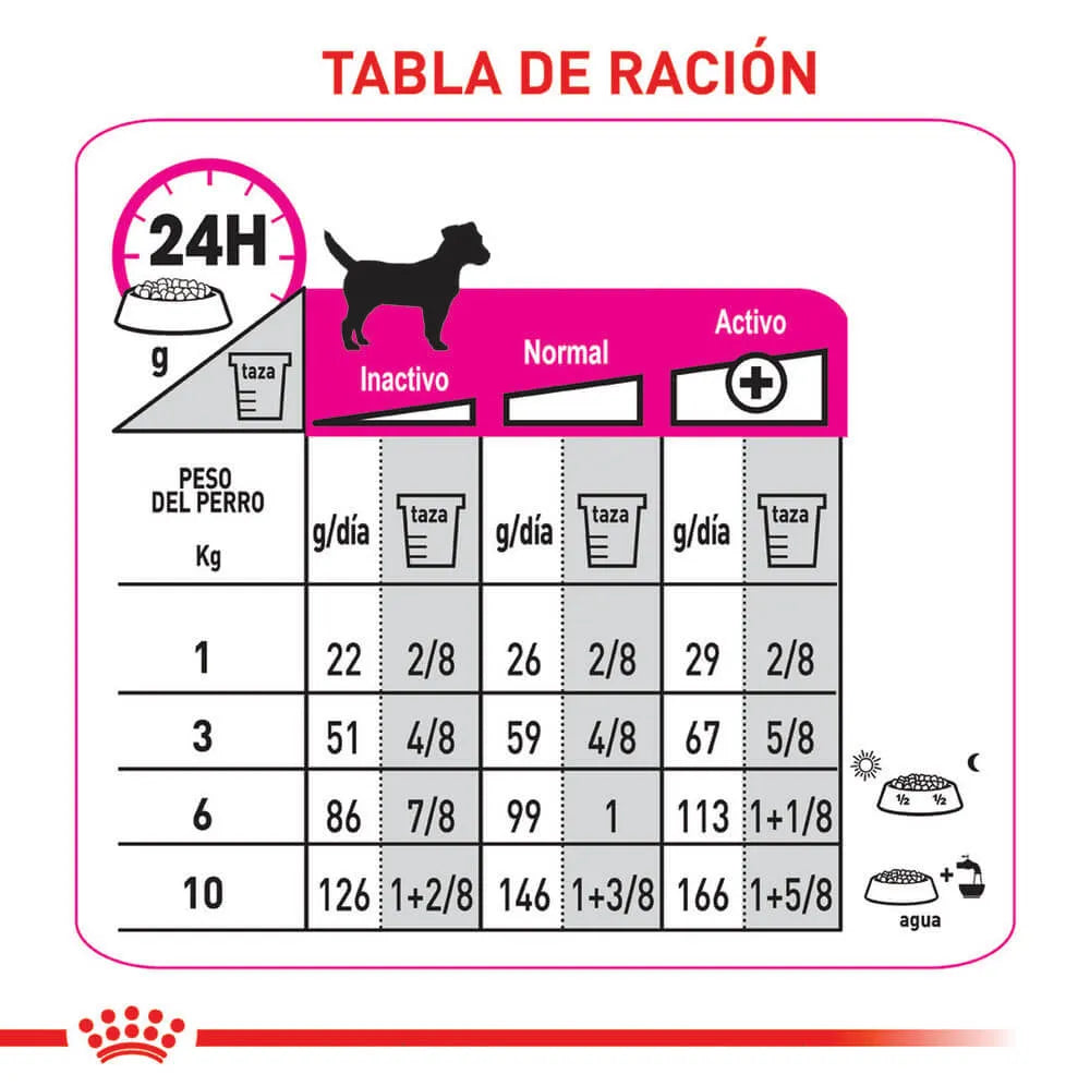 Alimento Para Perro Royal Canin Mini Exigent
