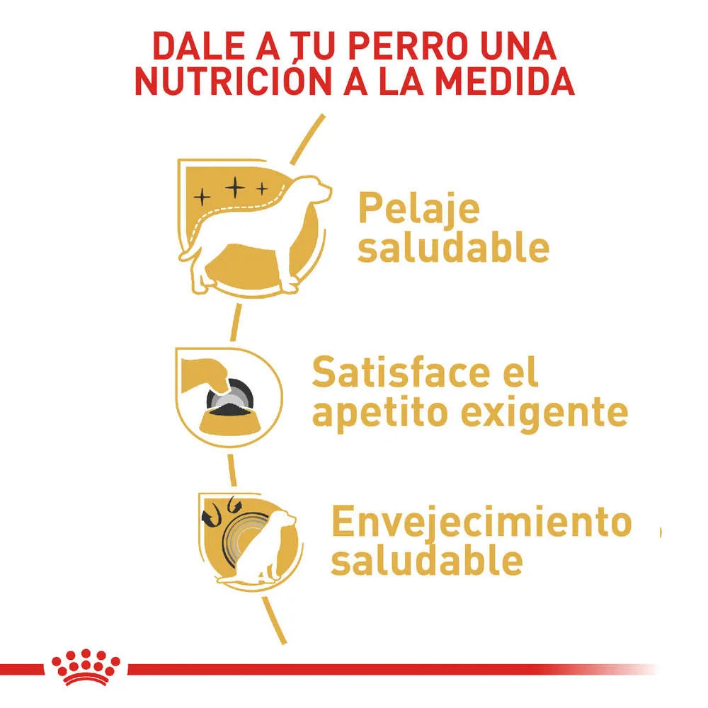 Alimento para perro Royal Canin Yorkshire Terrier
