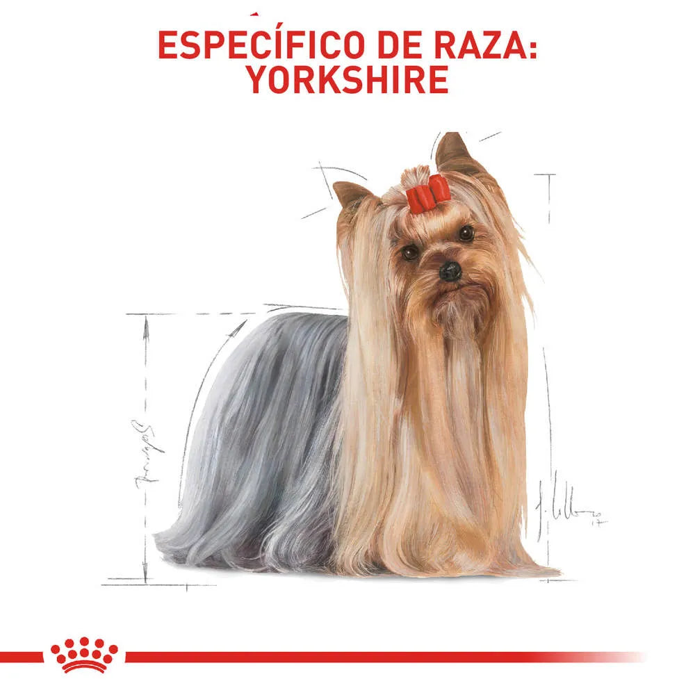 Alimento para perro Royal Canin Yorkshire Terrier