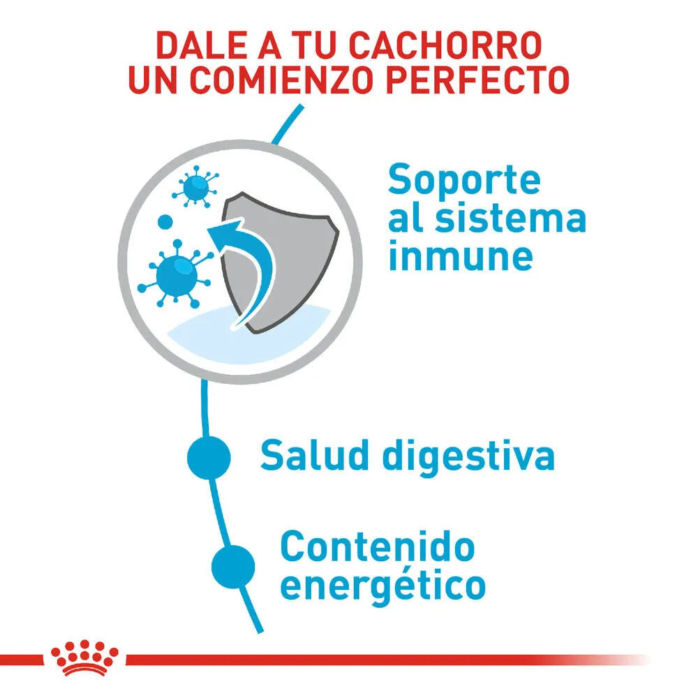 Alimento para perro Royal Canin Mini Puppy