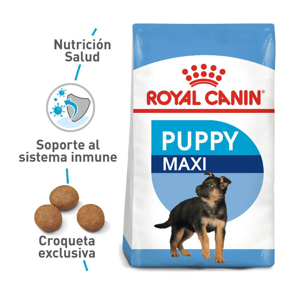Alimento para perro Royal Canin Maxi Junior
