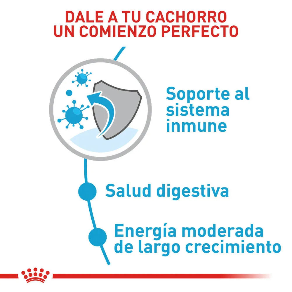 Alimento para perro Royal Canin Maxi Junior