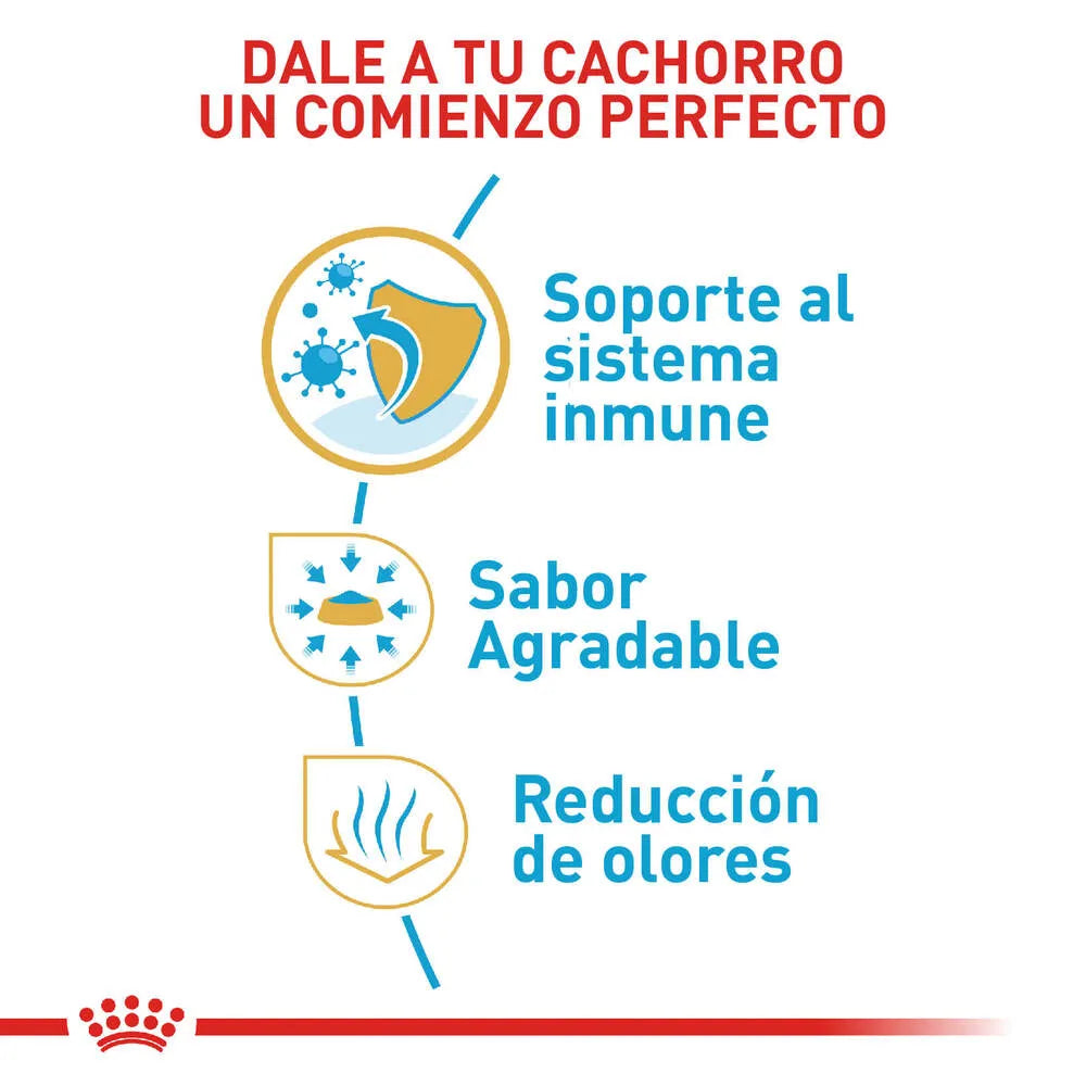 Alimento Para Perro Royal canin Chihuahua Junior
