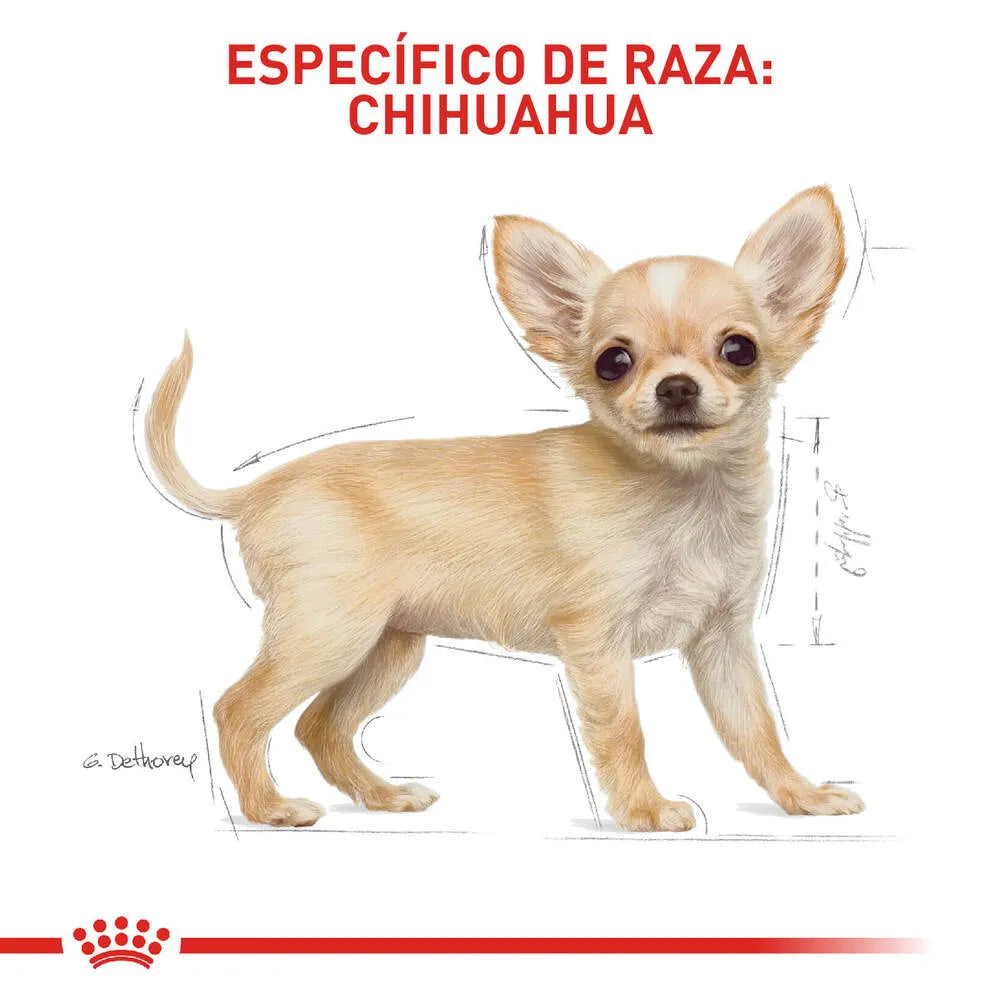 Alimento Para Perro Royal canin Chihuahua Junior