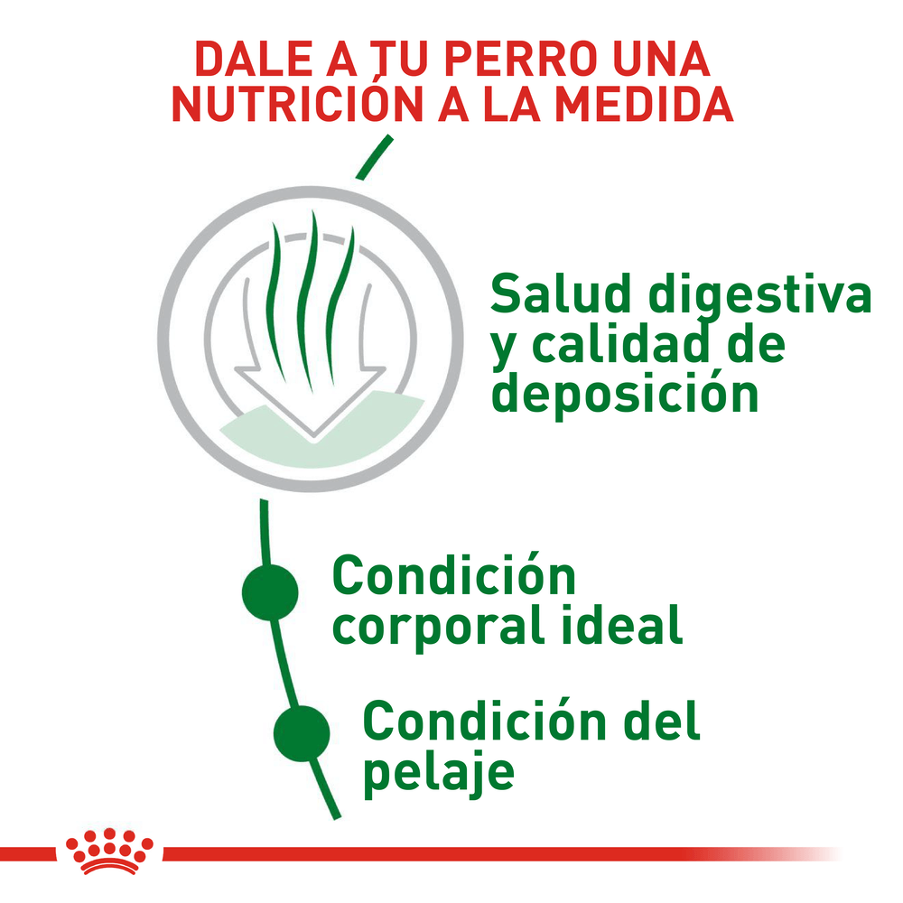Alimento Para Perro Royal Canin Mini Indoor Adult
