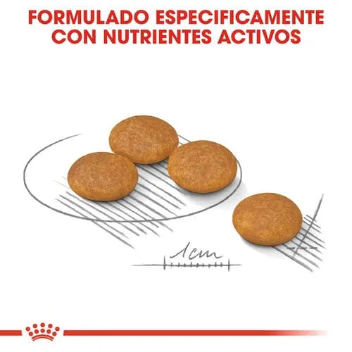 Alimento Para Perro Royal Canin Mini Dermacomfort