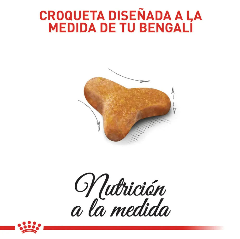 Alimento Para Gato Royal Canin Bengal Adult