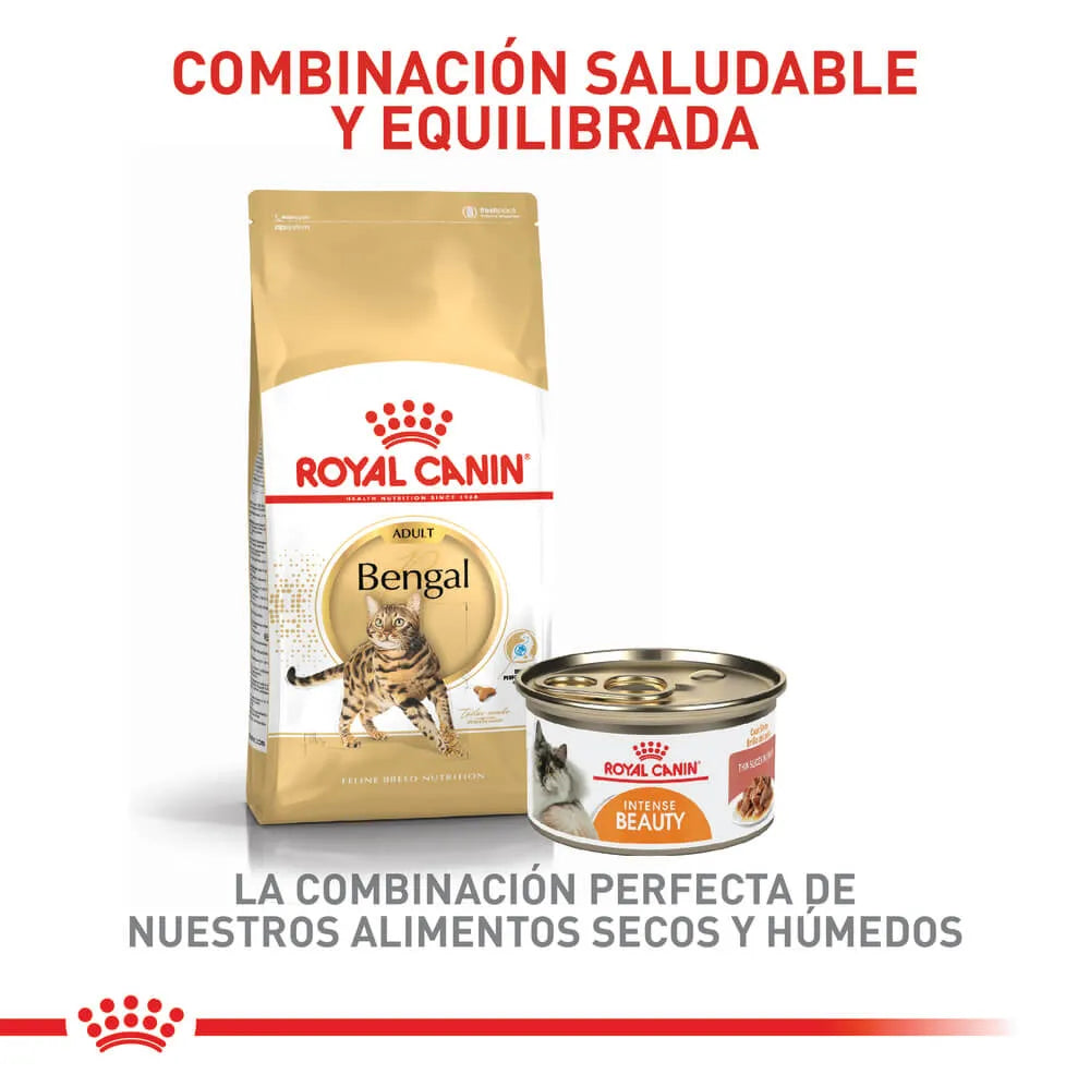 Alimento Para Gato Royal Canin Bengal Adult