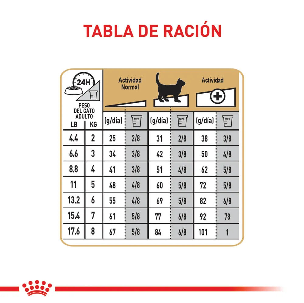 Alimento Para Gato Royal Canin Bengal Adult