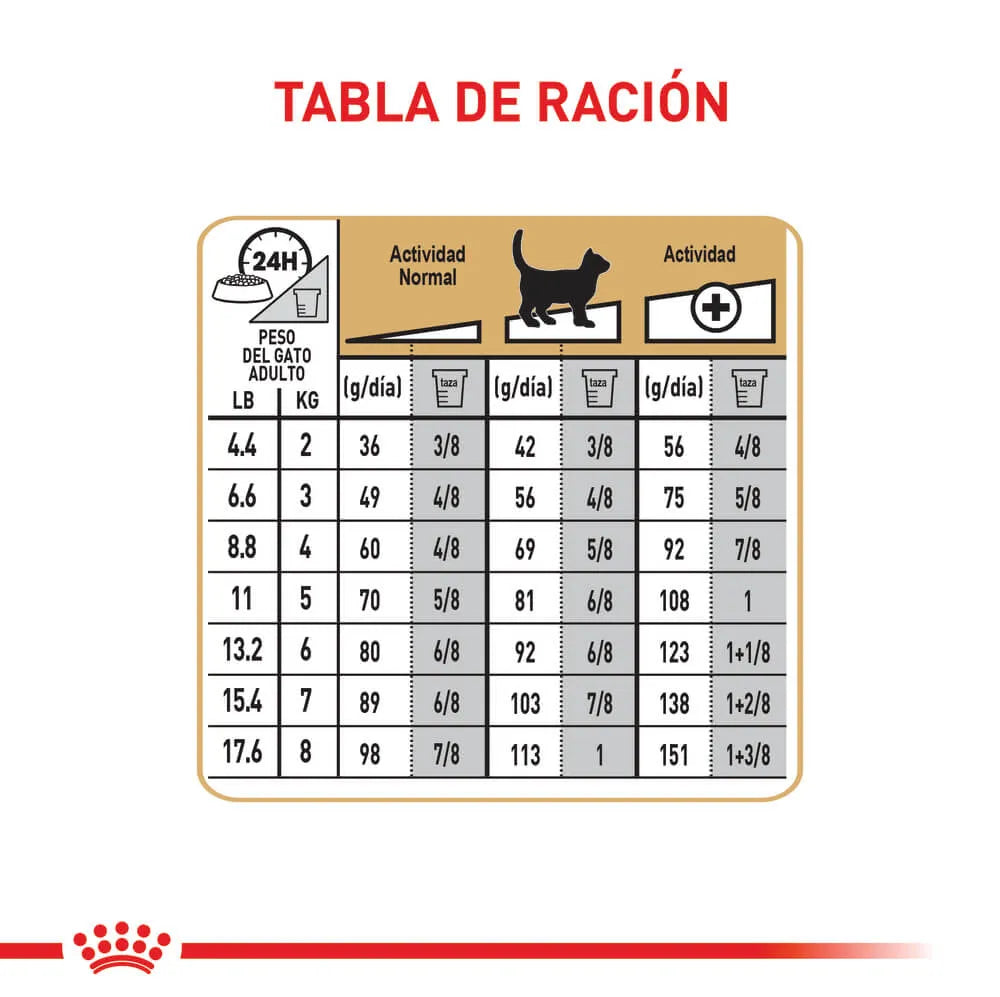 Alimento Para Gato Royal Canin Sphynx Adult