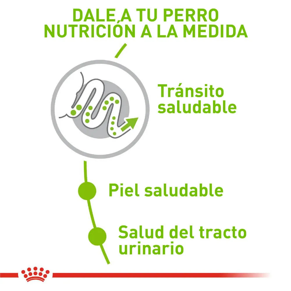 Alimento Para Perro Royal Canin X-Small Adult