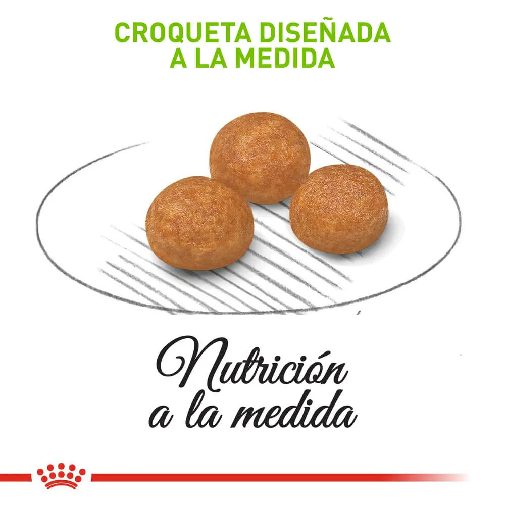 Alimento Para Perro Royal Canin X-Small Adult