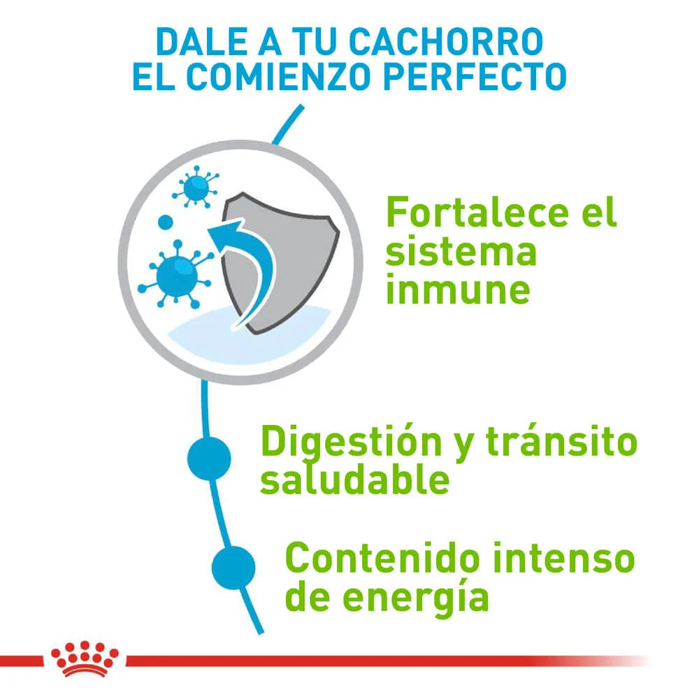 Alimento Para Perro Royal Canin X-Small Puppy