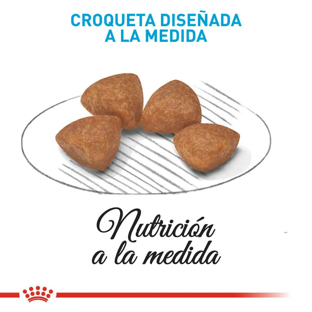 Alimento Para Perro Royal Canin X-Small Puppy