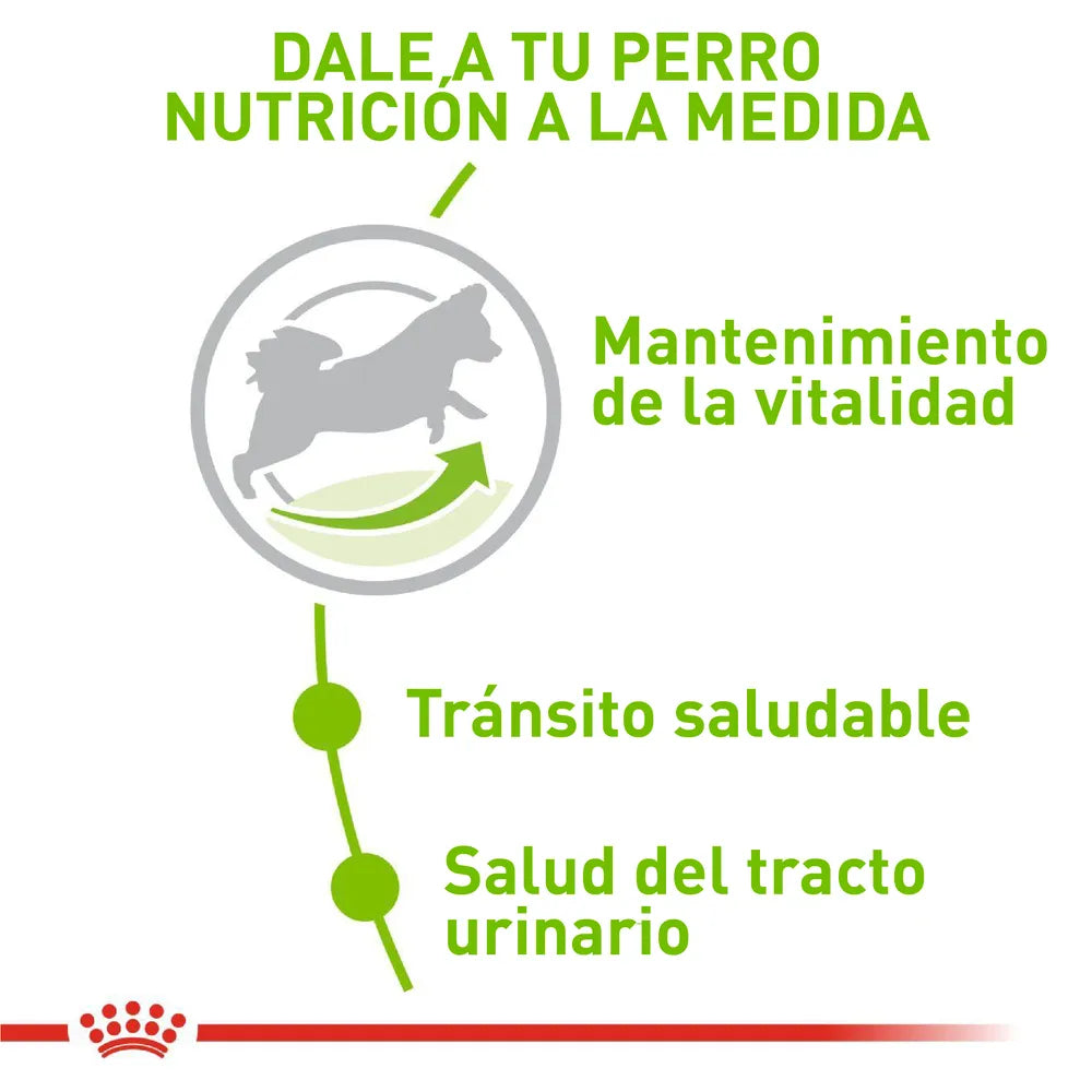 Alimento Para Perro Royal Canin X-Small Adult 8