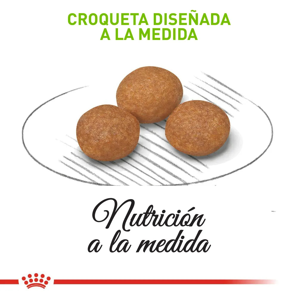 Alimento Para Perro Royal Canin X-Small Adult 8