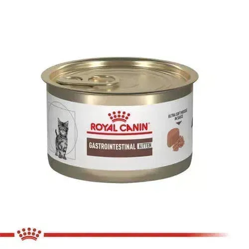 Alimento Para Gato Royal Canin Kitten Gastro Intestinal