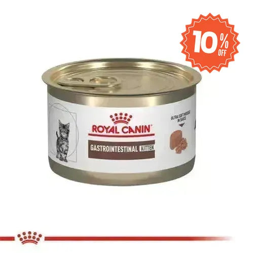 Alimento Para Gato Royal Canin Kitten Gastro Intestinal
