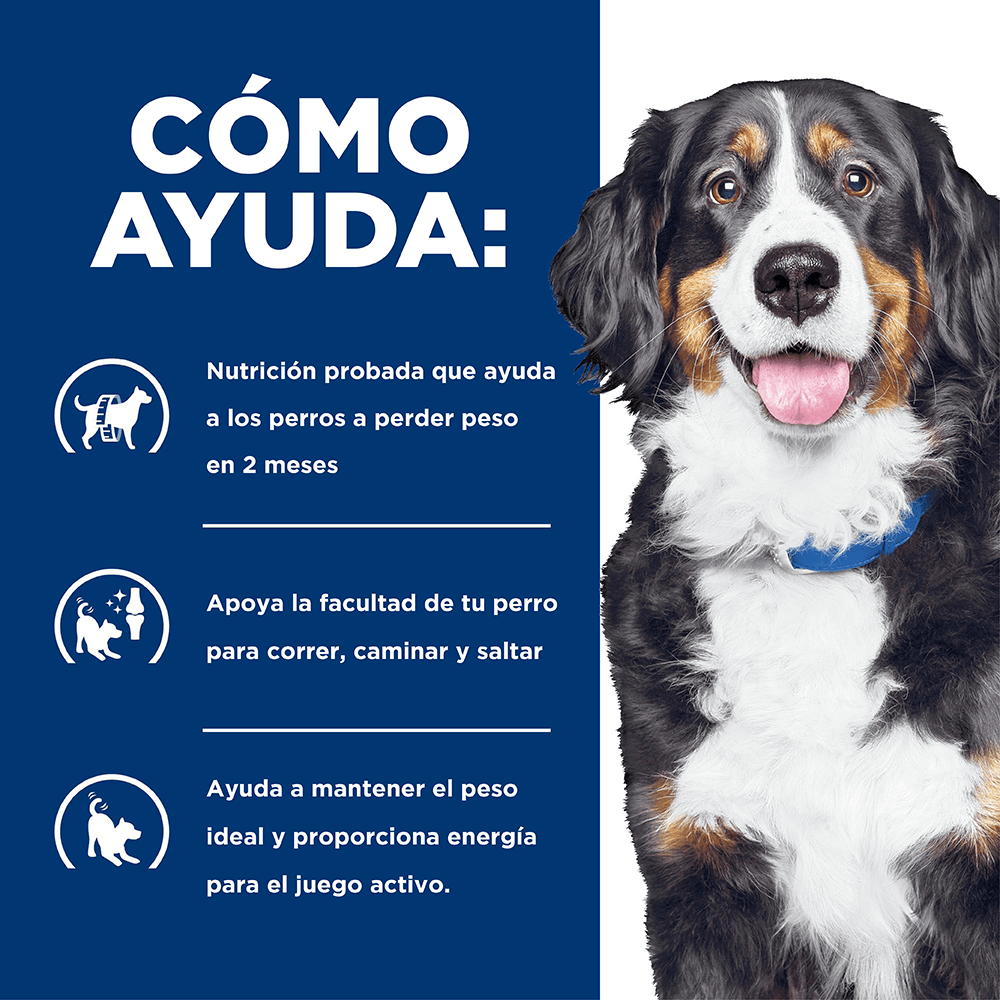 Alimento para perro Hills Canino Metabolic Mobility