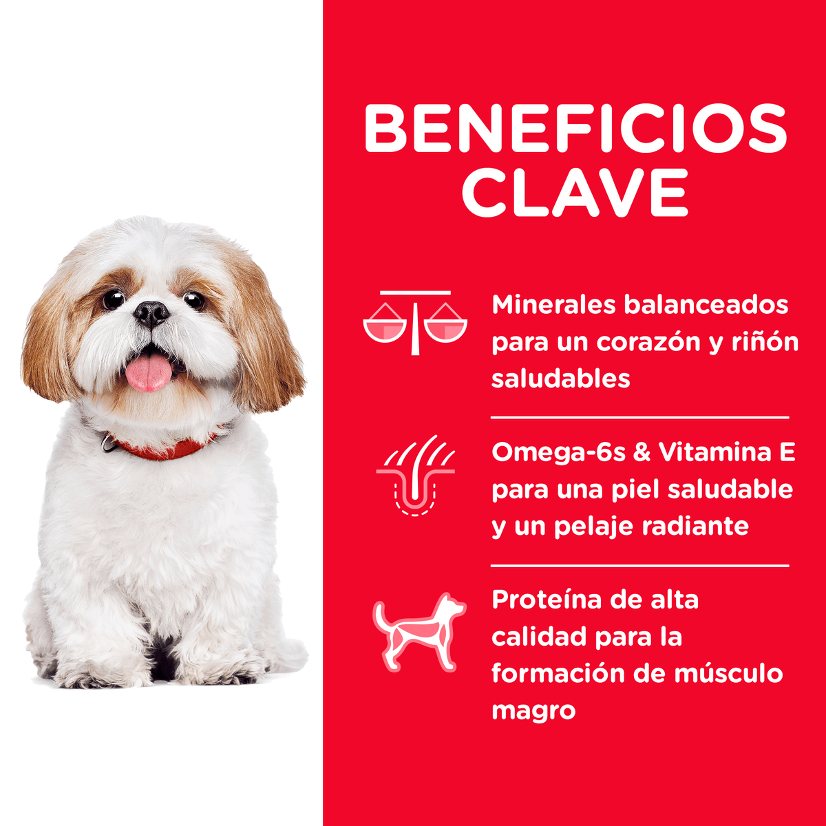 Alimento para perro Hills Canino Senior Small Bites