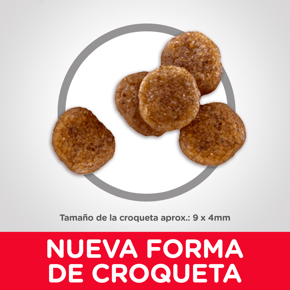 Alimento para perro Hills Canino Senior Small Bites