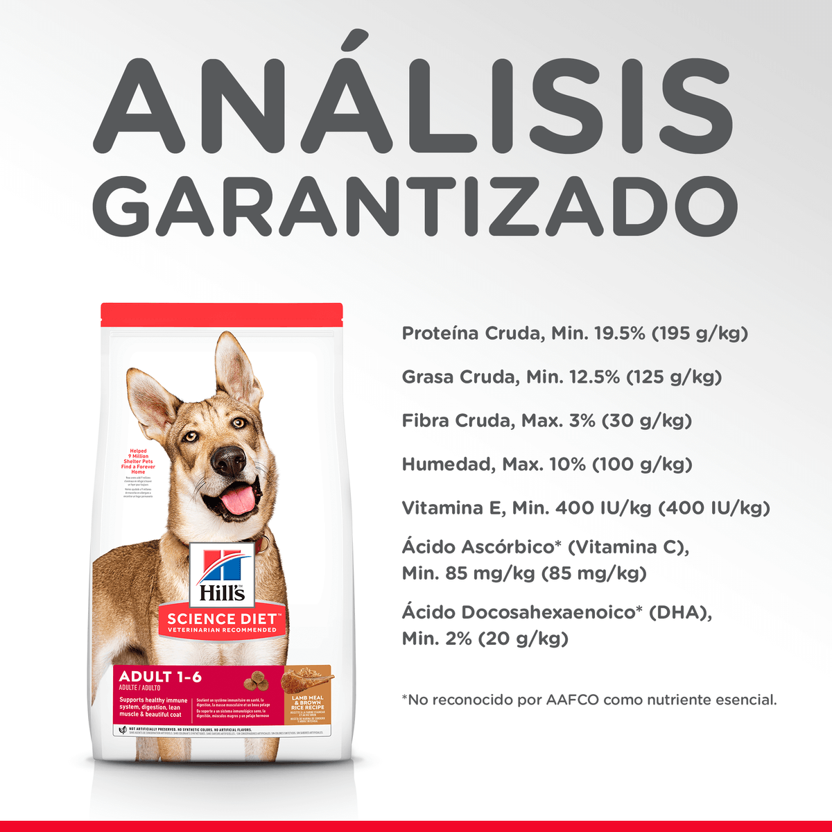 Alimento para perro Hills Canino Adulto Cordero Y Arroz