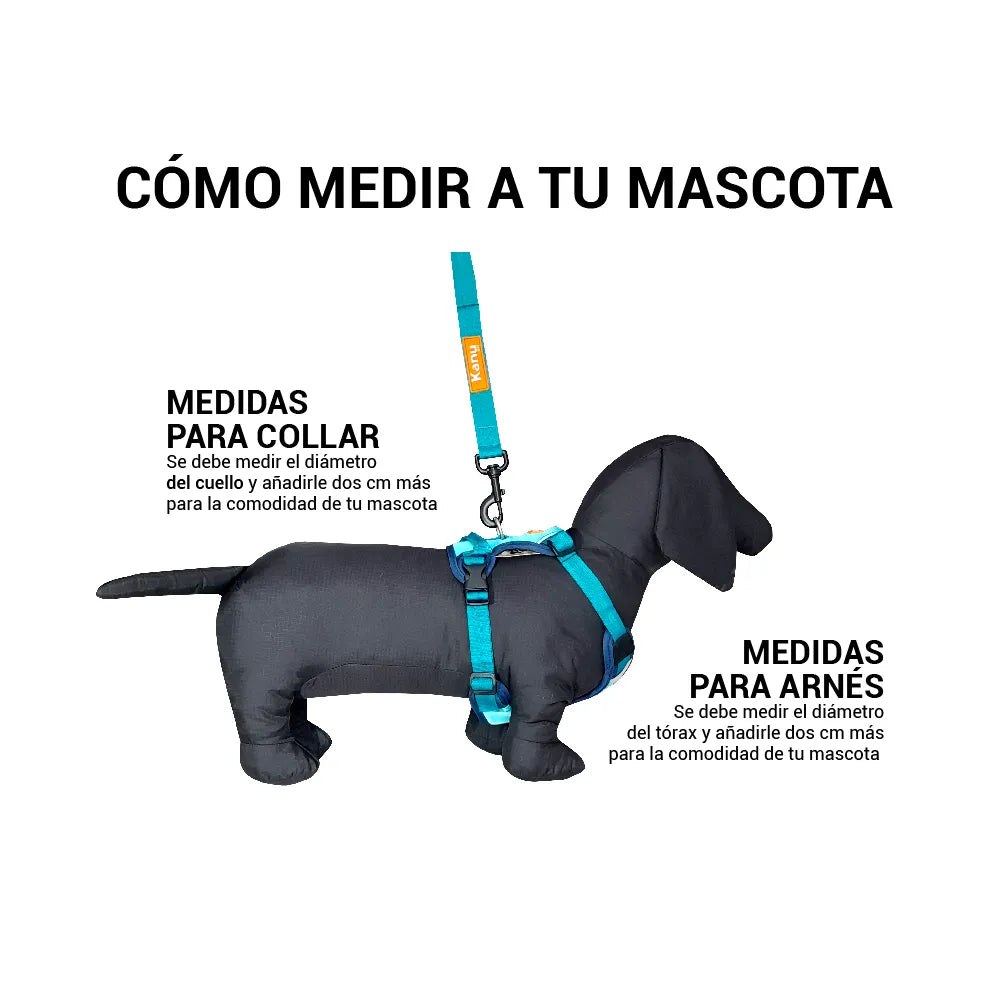Pechera Acolchada Walker Azul Kanu Pet para Perro
